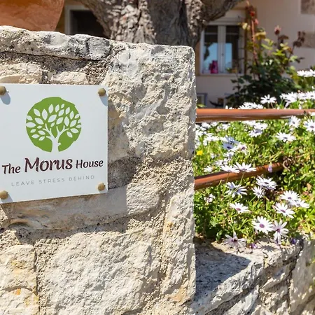 The Morus House With Private Pool Melidhonion (Kalyves)