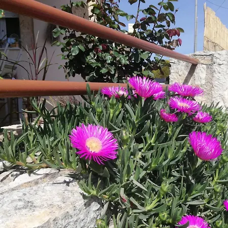 The Morus House With Private Pool בית נופש Melidhonion (Kalyves)