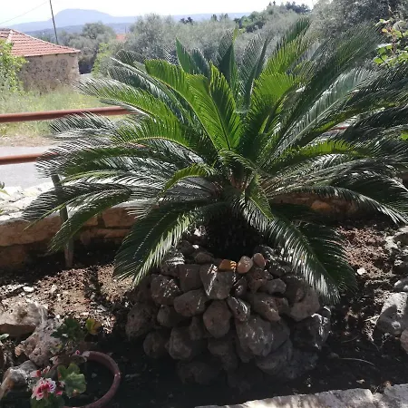 The Morus House With Private Pool Holiday home Melidhonion (Kalyves)