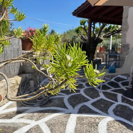 Holiday home The Morus House With Private Pool